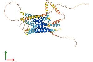 Protein Structure (PS) image for G Protein-Coupled Receptor 135 (GPR135) (AA 1-494) protein (His tag) (ABIN7548151)