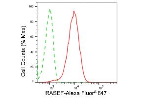 Flow cytometric analysis of RASEF expression in HepG2 cells using RASEF antibody (ABIN7800136), 1:2,000). (Recombinant RASEF antibody)