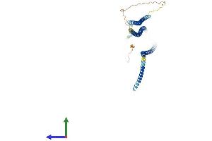 AlphaFold protein structure predicition of Mouse Recombinant Ccdc77 Protein, UniprotID Q9CZH8 (CCDC77 Protein (AA 1-489) (His tag))