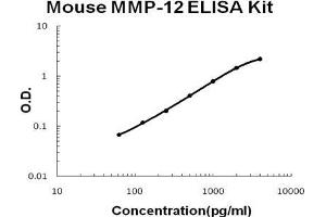 Mouse MMP-12 PicoKine ELISA Kit standard curve