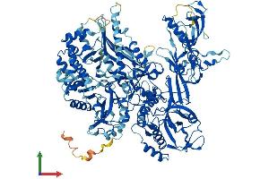 AlphaFold protein structure predicition of Human Recombinant POLR3B Protein, UniprotID Q9NW08
