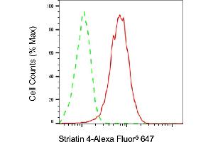 Flow cytometric analysis of Striatin 4 expression in HAP-1 cells using Striatin 4 antibody (ABIN7800444), 1:2,000). (Recombinant STRN4 antibody)