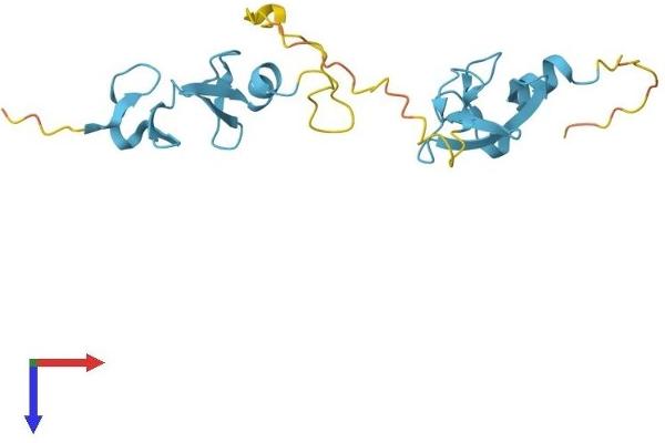 CSRP2 Protein (AA 1-193) (His tag)