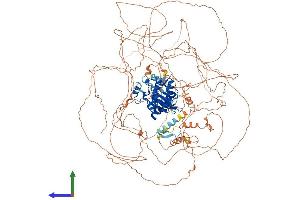 AlphaFold protein structure predicition of Mouse Recombinant Map3k19 Protein, UniprotID E9Q3S4