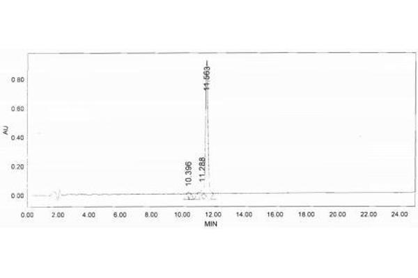 Motilin Protein (MLN) (Ovalbumin)