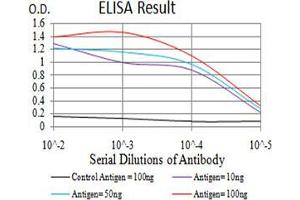 Black line: Control Antigen (100 ng);Purple line: Antigen (10ng); Blue line: Antigen (50 ng); Red line:Antigen (100 ng) (MUC5AC antibody  (AA 5528-5627))