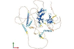 Protein Structure (PS) image for Axin 1 (AXIN1) (AA 1-863) protein (His tag) (ABIN7562345)