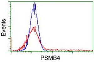 HEK293T cells transfected with either RC205723 overexpress plasmid (Red) or empty vector control plasmid (Blue) were immunostained by anti-PSMB4 antibody (ABIN2455091), and then analyzed by flow cytometry. (PSMB4 antibody)