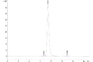The purity of Biotinylated Human VEGF R3 is greater than 95 % as determined by SEC-HPLC. (FLT4 Protein (AA 25-776) (His-Avi Tag,Biotin))