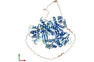 AlphaFold protein structure predicition of Mouse Recombinant Tert Protein, UniprotID O70372 (TERT Protein (AA 1-1122) (His tag))