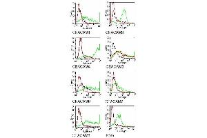 Specificity testing of 26/3/13. (CEACAM5 antibody)
