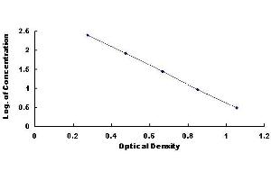 Typical standard curve (CAMP ELISA Kit)