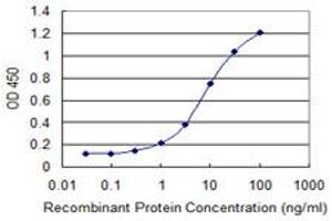 Detection limit for recombinant GST tagged RPN1 is 0. (RPN1 antibody  (AA 24-607))