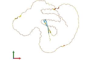 Protein Structure (PS) image for Family with Sequence Similarity 220, Member A (FAM220A) (AA 1-260) protein (His tag) (ABIN7557360)