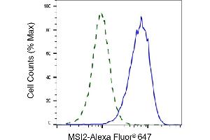 Validation of MSI2 knockdown using flow cytometry. (Recombinant MSI2 antibody)