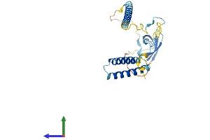 AlphaFold protein structure predicition of Mouse Recombinant Smndc1 Protein, UniprotID Q8BGT7