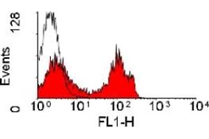 Staining of rabbit peripheral blood lymphocytes with MOUSE ANTI RABBIT CD4: FITC (ABIN182100). (CD4 antibody  (FITC))