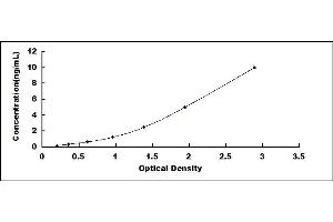 Typical standard curve (SRD5A1 ELISA Kit)