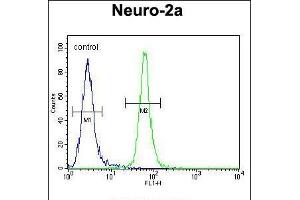 Flow cytometric analysis of Neuro-2a cells (right histogram) compared to a negative control cell (left histogram). (TMEM65 antibody  (N-Term))