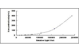Kininogen (High Molecular Weight) CLIA Kit