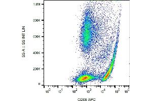Flow cytometry analysis (surface staining) of human peripheral blood using anti-CD69 antibody (clone FN50) APC. (CD69 antibody  (APC))