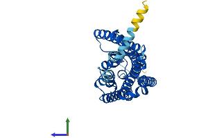 AlphaFold protein structure predicition of Human Recombinant OR4P4 Protein, UniprotID Q8NGL7 (OR4P4 Protein (AA 1-312) (His tag))