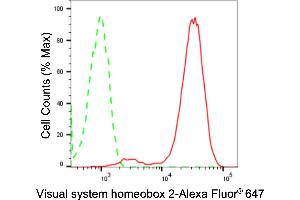 Flow cytometric analysis of Visual system homeobox 2 expression in HepG2 cells using Visual system homeobox 2 antibody (ABIN7800843), 1:2,000).