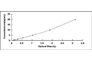 Typical standard curve (PKM2 ELISA Kit)