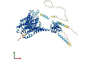 AlphaFold protein structure predicition of Human Recombinant SLC26A2 Protein, UniprotID P50443