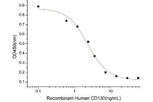 Interleukin 6 Signal Transducer (Gp130, Oncostatin M Receptor) (IL6ST) (AA 23-618) (Active) protein (His-Fc tag)