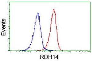Image no. 1 for anti-Retinol Dehydrogenase 14 (All-Trans/9-Cis/11-Cis) (RDH14) antibody (ABIN1500656) (RDH14 antibody)