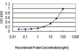 ELISA image for anti-Topoisomerase (DNA) II alpha 170kDa (TOP2A) (AA 1435-1531) antibody (ABIN563224)