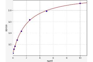 Typical standard curve (RAC1 ELISA Kit)