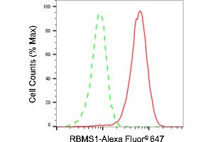 Flow cytometric analysis of RBMS1 expression in HT- cells using RBMS1 antibody (ABIN7800257), 1:2,000).
