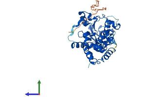 Protein Structure (PS) image for Carbohydrate (Chondroitin 4) Sulfotransferase 13 (CHST13) (AA 1-341) protein (His tag) (ABIN7553434)