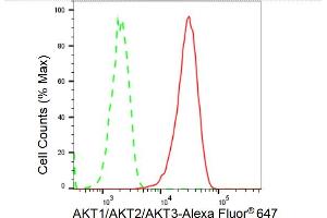 anti-AKT 1/2/3 antibody