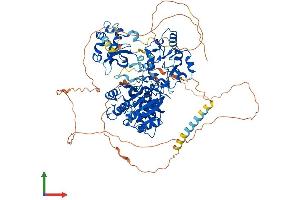 AlphaFold protein structure predicition of Human Recombinant DNMT3A Protein, UniprotID Q9Y6K1 (DNMT3A Protein (AA 1-912) (His tag))