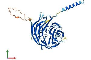 Protein Structure (PS) image for Prolactin Regulatory Element Binding (PREB) (AA 1-417) protein (His tag) (ABIN7556287)