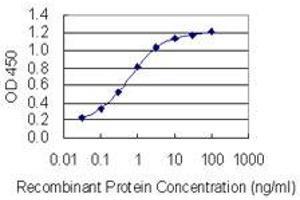 Detection limit for recombinant GST tagged DSCAML1 is 0. (DSCAML1 antibody  (AA 1922-2008))