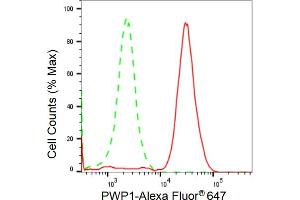 Flow cytometric analysis of PWP1 expression in HeLa cells using PWP1 antibody (ABIN7800071), 1:2,000). (Recombinant PWP1 antibody)