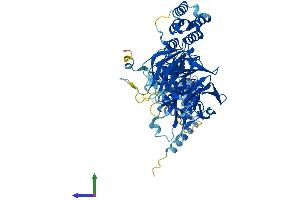AlphaFold protein structure predicition of Human Recombinant KBTBD12 Protein, UniprotID Q3ZCT8