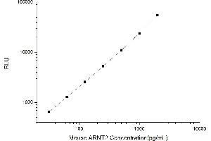 Typical standard curve (ARNT2 CLIA Kit)