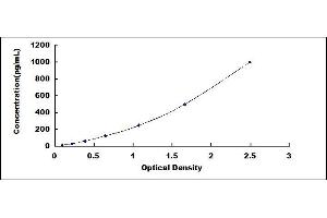 Typical standard curve (TCN1 ELISA Kit)