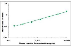 Representative Standard Curve (Laminin ELISA Kit)