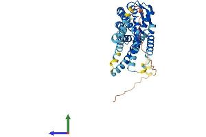 AlphaFold protein structure predicition of Mouse Recombinant Cxcr3 Protein, UniprotID O88410 (CXCR3 Protein (AA 1-367) (His tag))