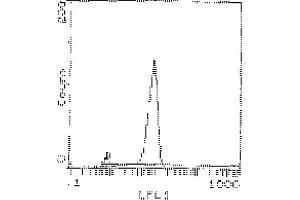 Cell Source: Thymus - Percentage of cells stained above control: 97. (CD90 antibody  (FITC))