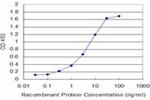 Detection limit for recombinant GST tagged ALOX12 is approximately 0. (ALOX12 antibody  (AA 564-663))