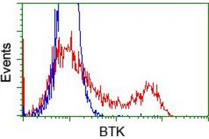 Image no. 8 for anti-Bruton Agammaglobulinemia tyrosine Kinase (BTK) antibody (ABIN1496974) (BTK antibody)