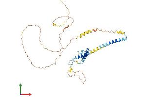 AlphaFold protein structure predicition of Mouse Recombinant Rsrc1 Protein, UniprotID Q9DBU6