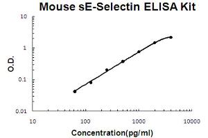 Mouse sE-Selectin Accusignal ELISA Kit Mouse sE-Selectin AccuSignal ELISA Kit standard curve. (Soluble E-Selectin ELISA Kit)